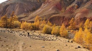 Кош Агачский Марс 1