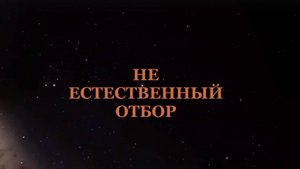 НЕ_естественный отбор и главная религия на земле