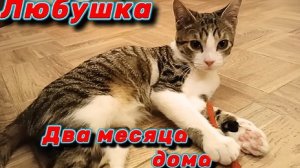 Любушка. Два месяца дома.