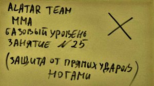 25 занятие по ММА (смешанные единоборства) Alatar team ᴸⁱᴹᵉ Денис Алаторцев