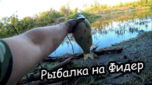 Рыбалка на Фидер