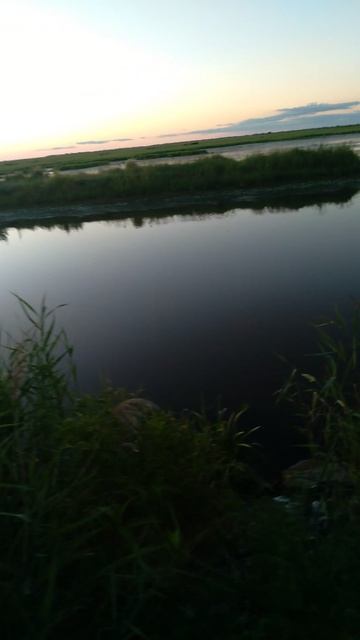 АВГУСТ ИТОГ