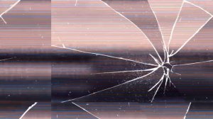 эдит врата штейна