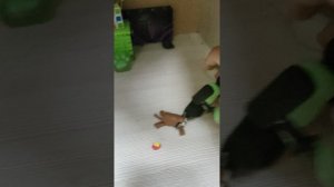 5 серия сериала "По мирам"