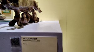 Выставка "Жизнь замечательных собак" Русский музей, Мраморный дворец.