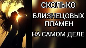 Сколько в жизни вы можете встретить близнецовых пламен_! Навыки.