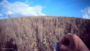 Рыбалка в отпуске 7-ая рыбалка👍🎣 Сегодня вечерком немного порыбачил на Старице🎣