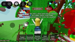 попала на начало обновы в первый раз