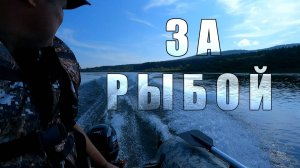 ПРОВЕРКА ЖЕРЛИЦ на щуку река ЧУЛЫМ
