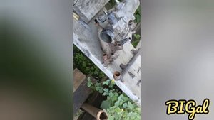 Ланос уходит антифриз и греется.