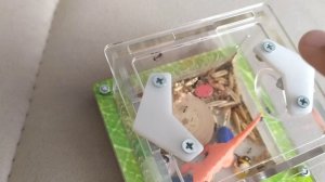 Моё первое видео