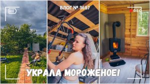 Она украла мороженое! | Краска кончилась | Стригу газон - ВЛОГ №3688 - 08.08.25