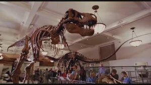 Динозавры Живы!