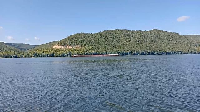 09.08.2025САМАРА-ВОЛГА рыбы нет,совсем нет!