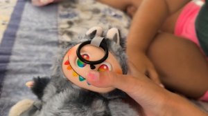 шок контент