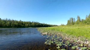 Мы опять на реке. Рыбалка на хариуса. Часть вторая.