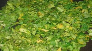 Чебуреки с зеленью