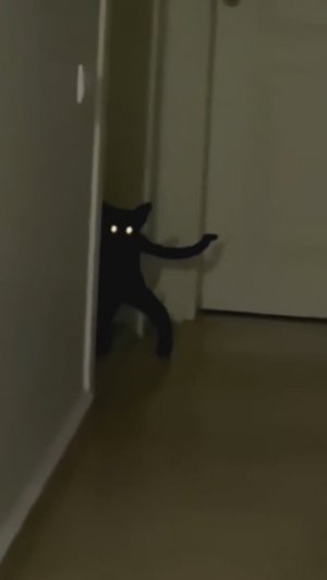 Видео для смеха. Хорошее настроение)