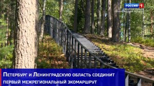 Петербург и Ленинградскую область соединит первый межрегиональный экомаршрут