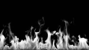 Ну просто увидели дерево🤣😂