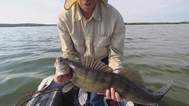 Трофейный судак. Трудовая рыбалка на Волчихинском смотреть онлайн