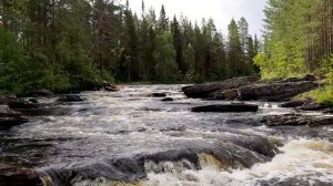 Шуя 2020. Порог Сосновый. Дима/Лёха.