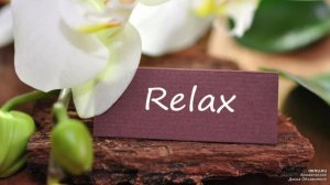 Релакс-видео. Карелия. Гарик Сукачев-Напои меня водой. 🌲🌳🌲🌊🌊🌊