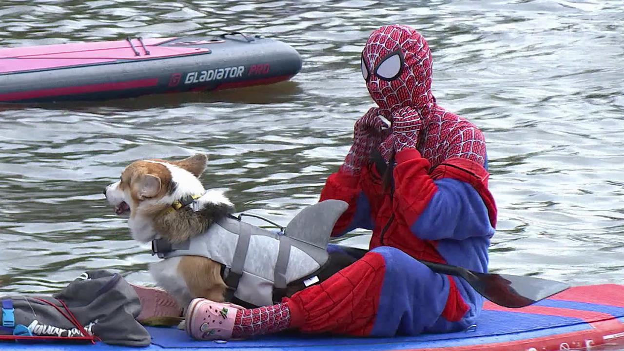 В Москве прошел яркий фестиваль по сап-серфингу