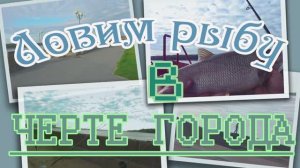 ГОРОДСКАЯ РЫБАЛКА