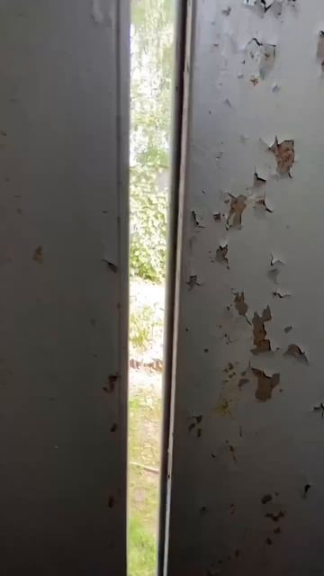 главное вниз не спуститься 🤣 #shorts