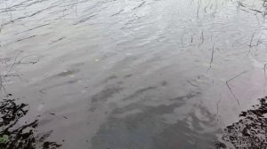 Когда природа зовёт: наш походный дневник.