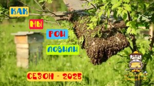 Как мы рои ловили. Сезон 2025