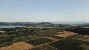 Удивительная природа  ч.6