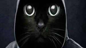 Оскорбление по ФОРМЕ от ППС Московский