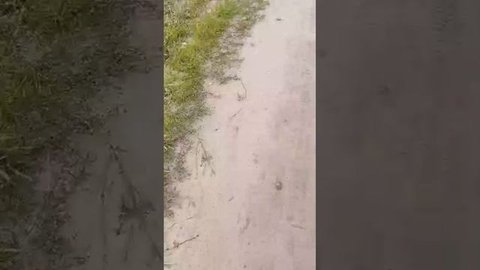 заброшки
