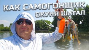 730 дней не качал лодку, но Окуня надрал легко! Махнул Mercury F5M на Watersnake SXB34/26 с LiFеPo4