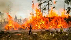 В Крыму горит Ялтинский горно-лесной заповедник. Огонь охватил два гектара леса