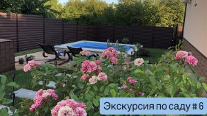 Экскурсия по саду # 6. Уложен газон, заполнен бассейн, в саду цветёт роза, гибискус, бугенвиллея