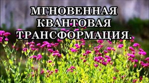 МГНОВЕННАЯ КВАНТОВАЯ ТРАНСФОРМАЦИЯ. МЫ НАЧИНАЕМ ЖИТЬ ПО-НАСТОЯЩЕМУ!