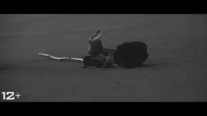 Альманах "Стихии света" - Видео стихи