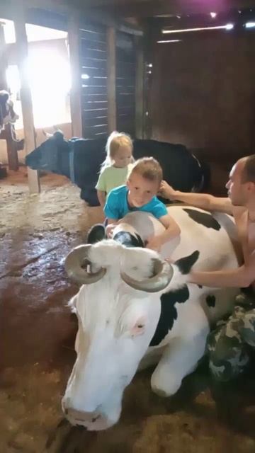 Гости на ферме (Алексей Бруев с семьёй), 8.08.25