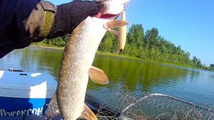 Nories Laydown Minnow MID 110 HF вновь в почёте