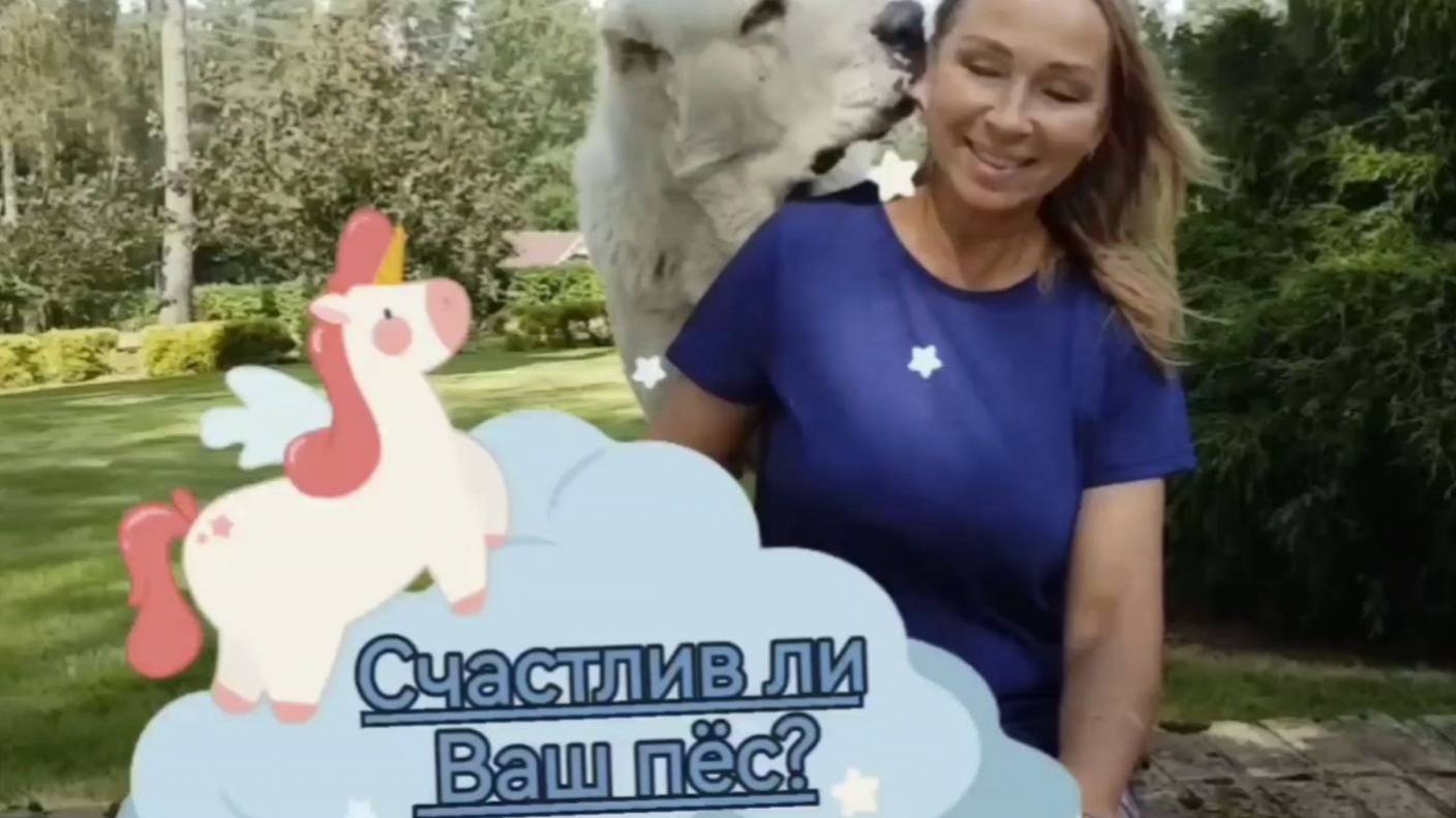 СЧАСТЛИВ ЛИ ВАШ ПЁС? смотреть онлайн