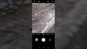 Мы в милютинском парке