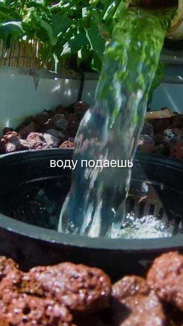 Как на одной воде вырастить и рыбу, и зелень. Просто и прибыльно. смотреть онлайн