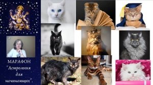 5 - Марафон АСТРОЛОГИЯ для начинающих.  День пятый