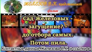 Сад Железовых - загущение? - до отбора самых. Потом пила.