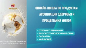 Ассоциация Здоровья и Процветания WHIEDA СТЕЛЬКИ С АНИОНАИИ, ВЫСОКОТЕХНОЛОГИЧНЫЕ ОЧКИ,  ПАЛАНТИН