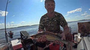 Судак на мандулу.