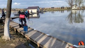 Кубок Московской области 2024. Как поймать форель на платнике.